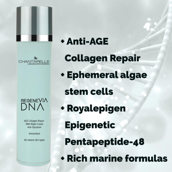 Alternative view of Day cream SPF20 UVA/UVB Cellular Regeneration, rejuvenating, antioxidant