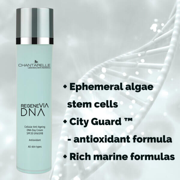 Alternative view of AGE Collagen Regeneration night cream, anti-glycation, rejuvenating, antioxidant